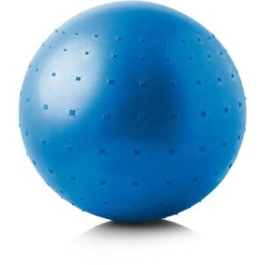 Pelota de Gimnasio GoldsGym